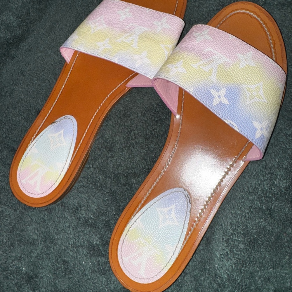 Louis Vuitton Multicolor Slide Sandals